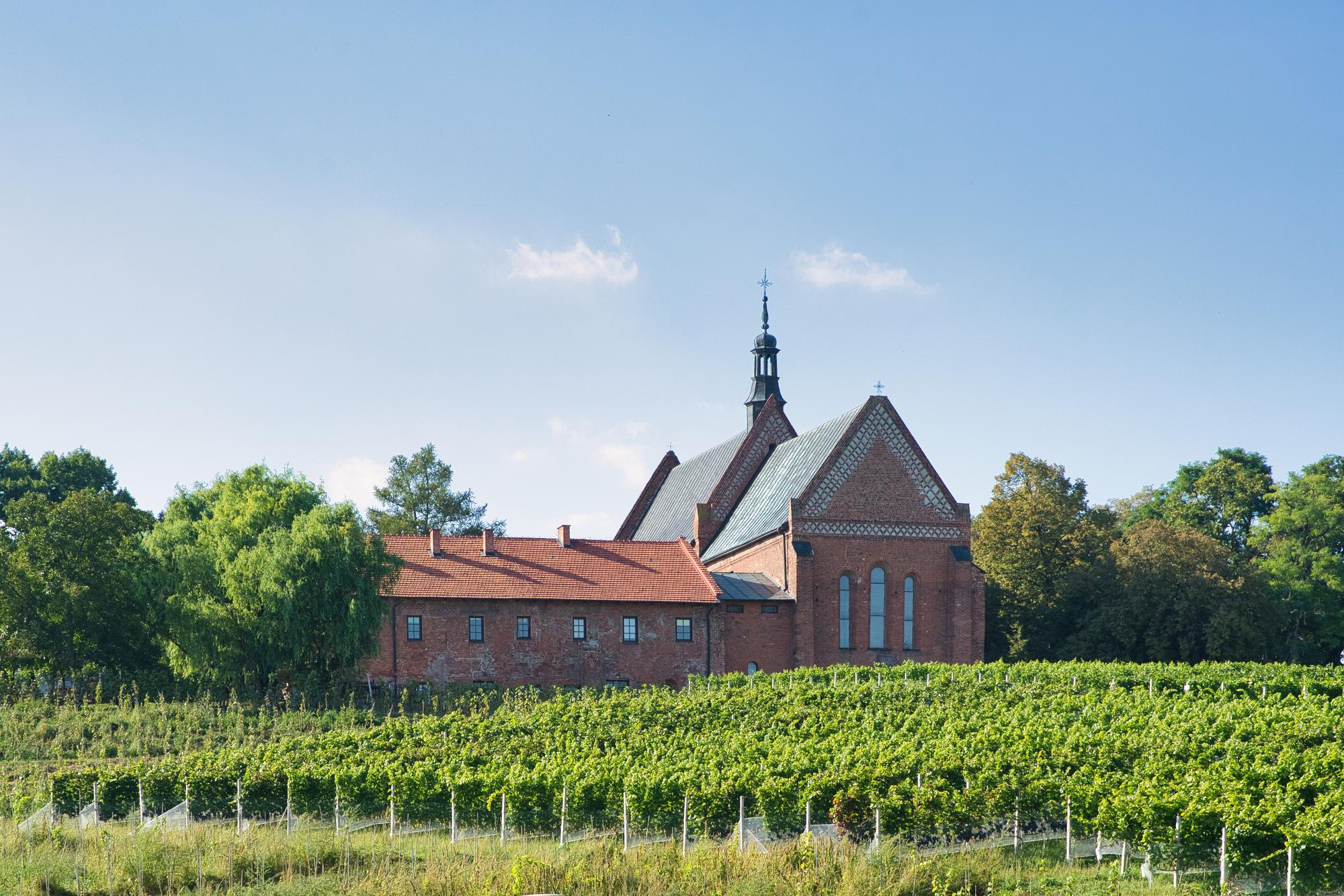 Coraz więcej polskiego wina nie tylko w kraju, ale także w całej Europie