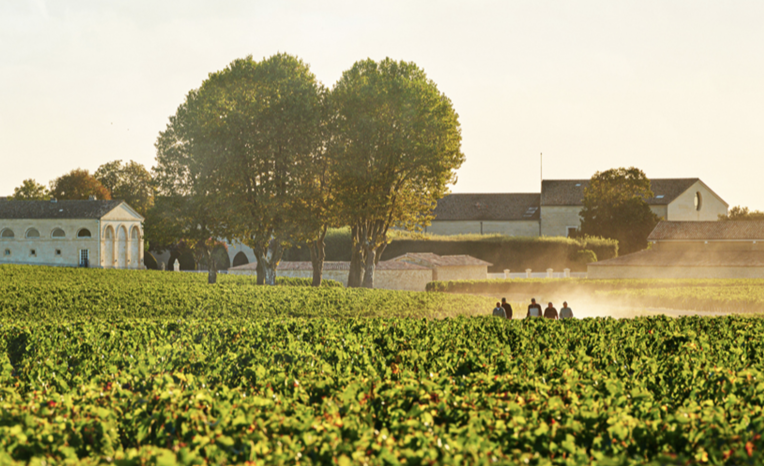 Dobre wino i sztuka często idą w parze