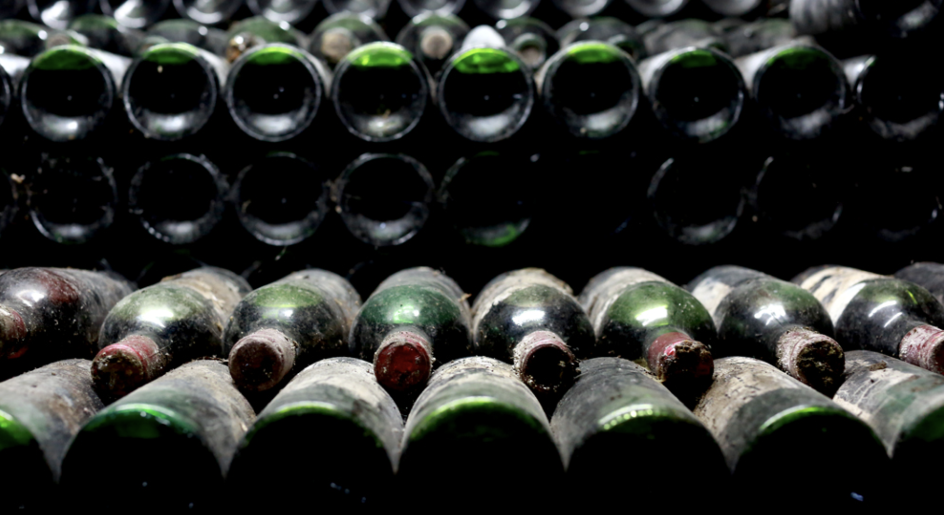 Chateau Musar – wyśmienita kompozycja cabernet sauvignon, cinsault i carignan