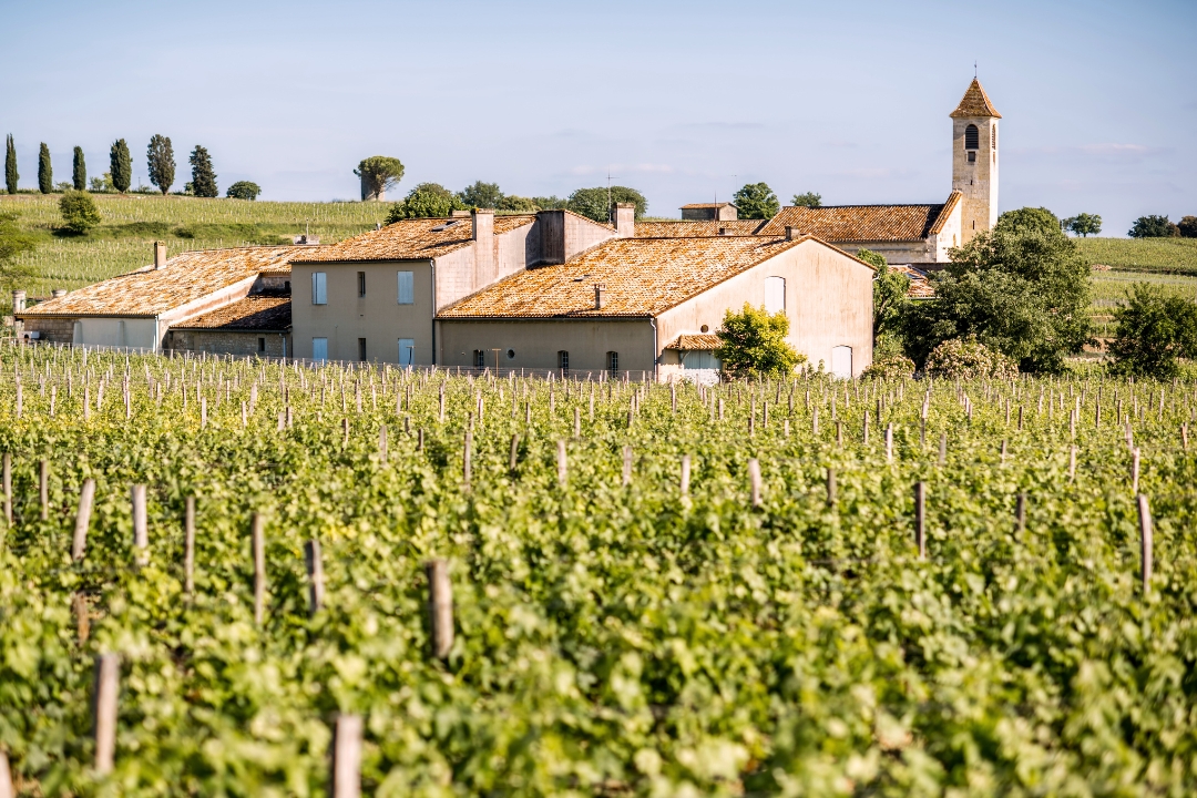 To Anglicy przyczynili się do rozpowszechnienia win Bordeaux na międzynarodowych rynkach